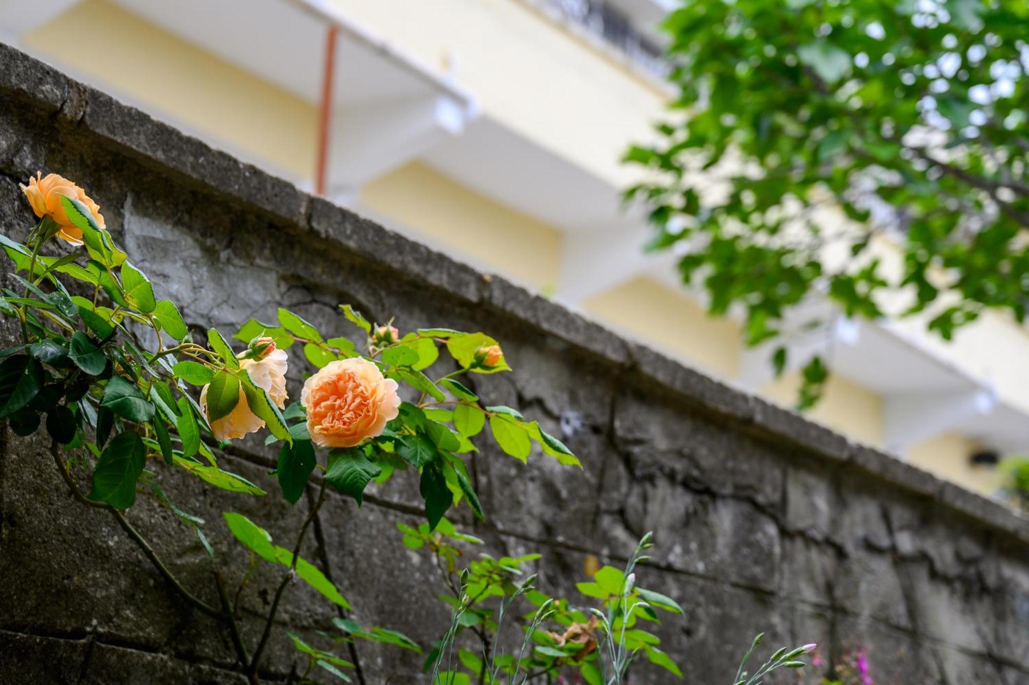Effect Saint Mina Hotel Sozopol Ngoại thất bức ảnh