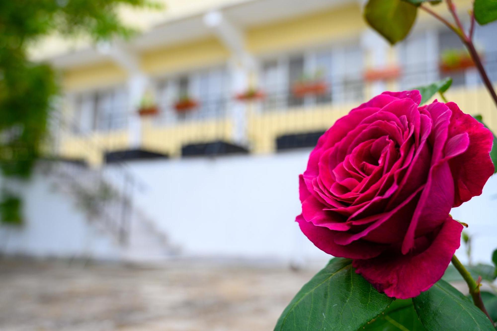 Effect Saint Mina Hotel Sozopol Ngoại thất bức ảnh